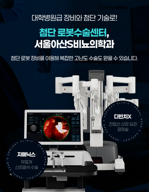 다빈치X, 자메닉스 이미지